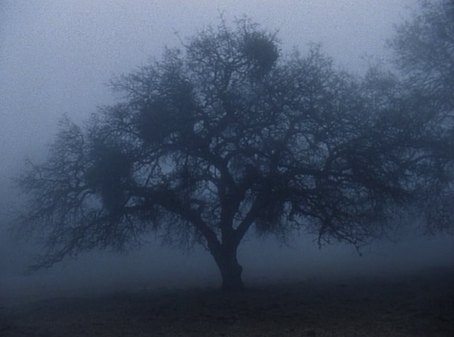Still from Sogobi (2002)